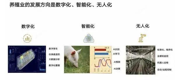 Huawei's Smart Pig Raising
